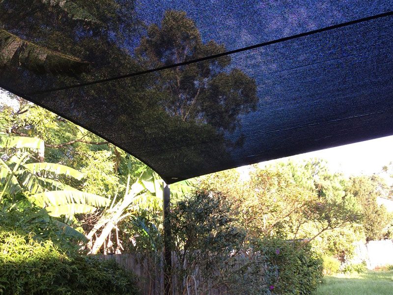 Re-tension and clean, Leichhardt
