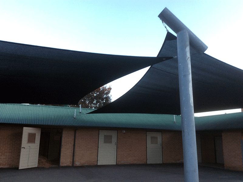A 230 square metre shade on T-posts in Rouse Hill
