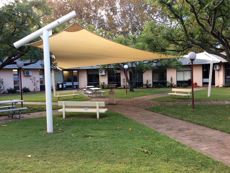 Big shade on three T-posts